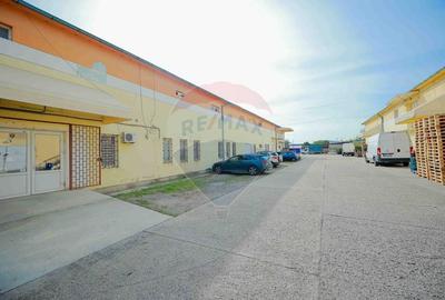 De vanzare Spatiu industrial de 10 129 mp Soseaua Borsului - 47