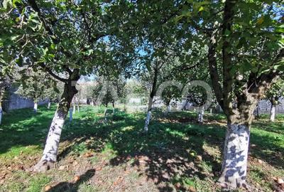 Casa individuala cu 924 mp teren in zona Turnisor din Sibiu - 10
