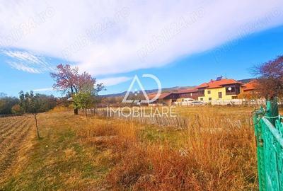 Teren de vanzare Crasna Gorj Comision 0% pentru cumparator - 3