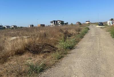 Veterani ,  teren 500 mp - 4