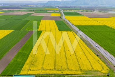 Teren agricol extravilan de 10600 mp, în Codlea - 2