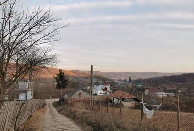 Teren de 6000 mp, în Priboieni - 3