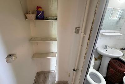 Apartament cu 3 camere decomandat în Rahova - 10