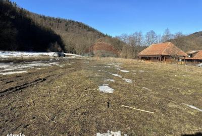 Teren de 1340 mp, în Gârcina - 4