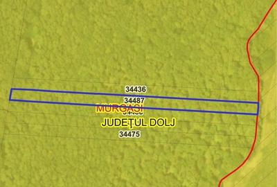 Teren de 9200 mp, în Murgași - 1