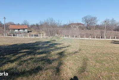 Teren de 4700 mp, în Brusturi - 7