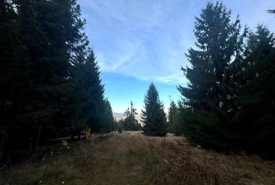 Vanzare 5,3 ha pasune deasupra Voronetului Suceava - Proiect Turistic - 27