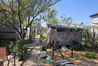 Casă cu 5 camere cu Teren 3937 Mp în Ianca - 13