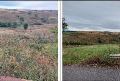 Teren extravilan pasune Ardeaoni, ID: R2404614 - 5