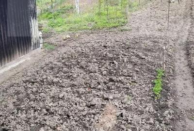 Casă cu 2 camere cu Teren 1628 Mp în Central - 9