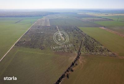 Teren de 1118 mp, în Snagov - 13