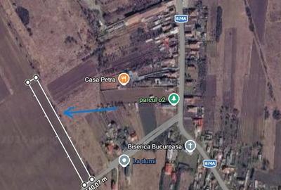 Teren de 5000 mp, în Bucureasa - 2