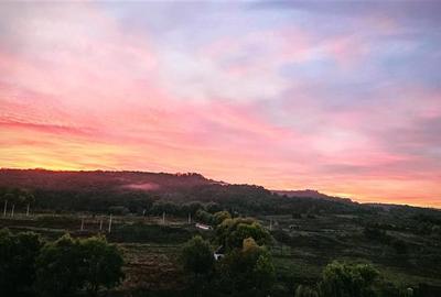 Apartament cu 2 camere decomandat în Tudor Vladimirescu - 9