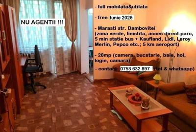 Garsonieră în Dosu Bricii - 1