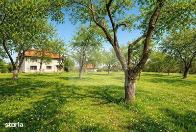 Casă cu 8 camere cu Teren 4851 Mp în Iara - 3