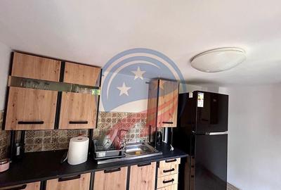 Pensiune in Dubova de vanzare - 13