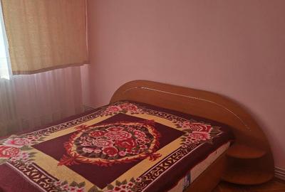 Vand apartament 2 camere in Deva, Piata Centrala, decomandat, mobilat - 6