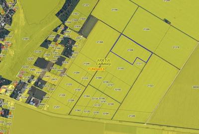 TEREN INTRAVILAN FUNDULEA 63.000 MP  , jUD. CALARASI DE VANZARE - 2