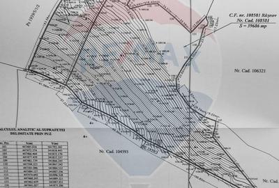 Teren intravilan cu potential turistic si de agrement, zona Trei Brazi - 5