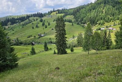 Teren de 36255 mp, în Breaza - 10