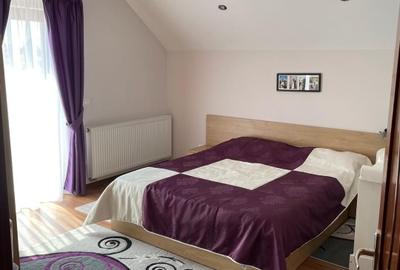 Casa de vanzare in IZVIN jud. Timis - 13