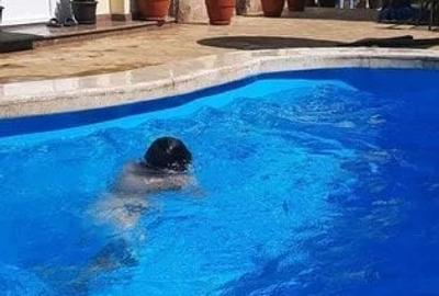 Vila moderna cu piscina si garaj - Faleza Nord, Constanta 340.000 EURO - 1