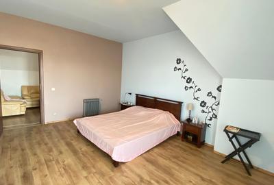 De vanzare casa individuala cu teren Gruiu , Calarasi ,Budesti - 28