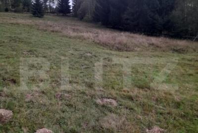 Teren intravilan de vanzare, 2280 mp, Vatra Dornei - 4