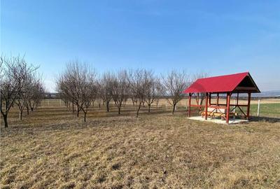 RECO Teren intravilan in zona Alesd Sat Subpiatra 800mp - 5