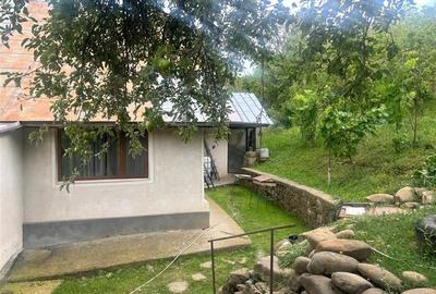 Casa, 4 camere, 125000 euro, Nehoiu , 120 Mp, 2000 mp teren. - 8