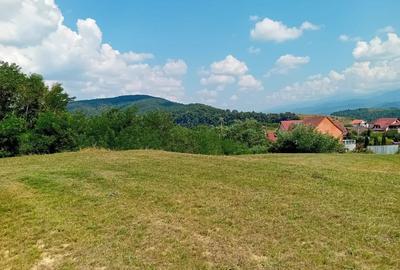 Teren de 500 mp, în Șelimbăr - 2