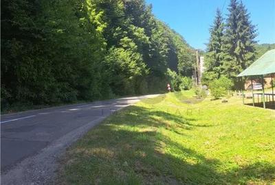 Apartament cu 2 camere decomandat în Pădurea Neagră - 1