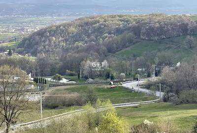 Casă cu 7 camere cu Teren 3500 Mp în Colibița - 9