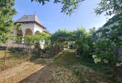 Casă cu 7 camere cu Teren 2424 Mp în Coteana - 4