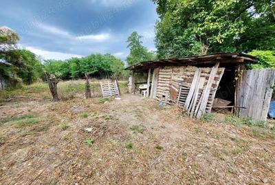 Casă cu 4 camere cu Teren 2020 Mp în Surani - 7