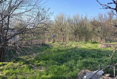 Casă cu 3 camere în Șag - 2