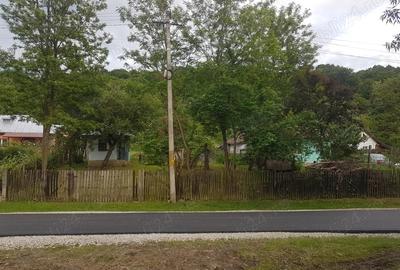 Casă cu 2 camere cu Teren 1200 Mp în Bughea de Jos - 9