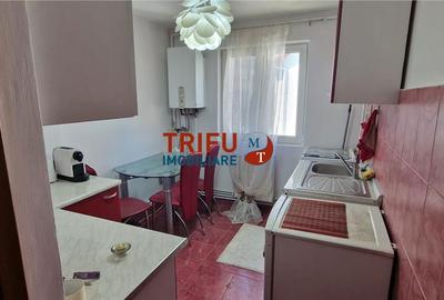 Apartament cu 2 camere semidecomandat în Cetate - 8