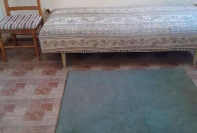 Garsonieră în Buziașului