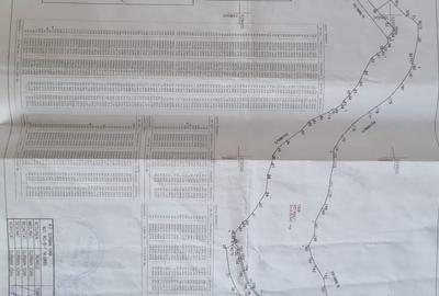 Teren agricol extravilan de 272720 mp, în Dud - 3