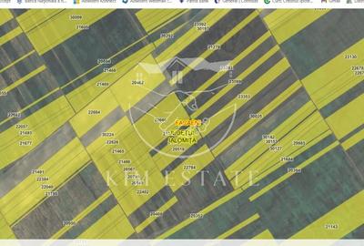 De vanzare 200 hectare Facaeni Ialomita - 1