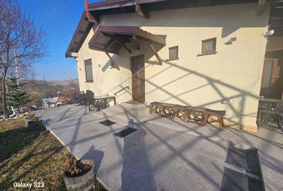 Casă cu 4 camere cu Teren 8140 Mp în Gârcina - 17