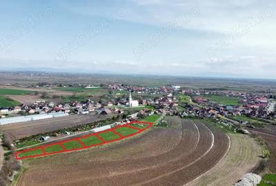 Parcele de teren - 729 mp | Amati - 3,5 km de Satu Mare - 1