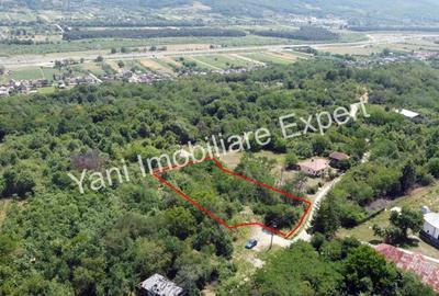 Teren de 2270 mp, în Valea Brazilor - 9