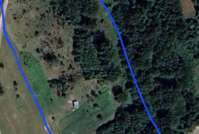 Casă cu 2 camere cu Teren 17240 Mp în Saca - 4