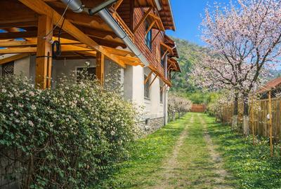 Casă individuală cu 7 camere cu Canalizare în Malaia - 14