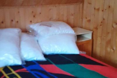 Casă cu 5 camere cu Teren 1000 Mp în Sâniob - 9