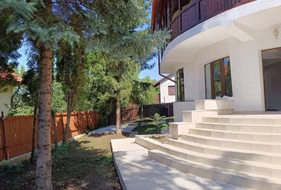 Casa cladire (spa?iu comercial) de inchiriat Iasi zona Motel Bucium - 8