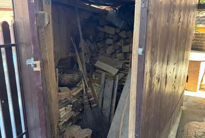 Vila de vanatoare in Santimbru-Bai - 11