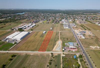 Teren Intravilan - Branesti - Investitie Pentru Hale Industriale - Vanzare - 8